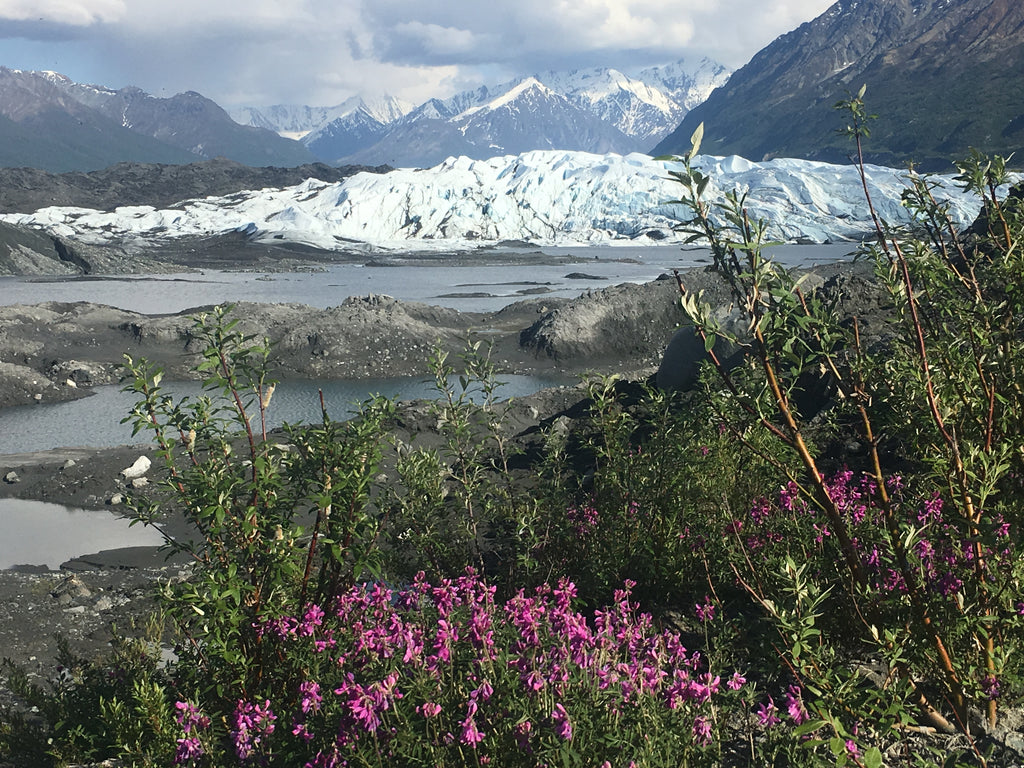 Glacier Life!